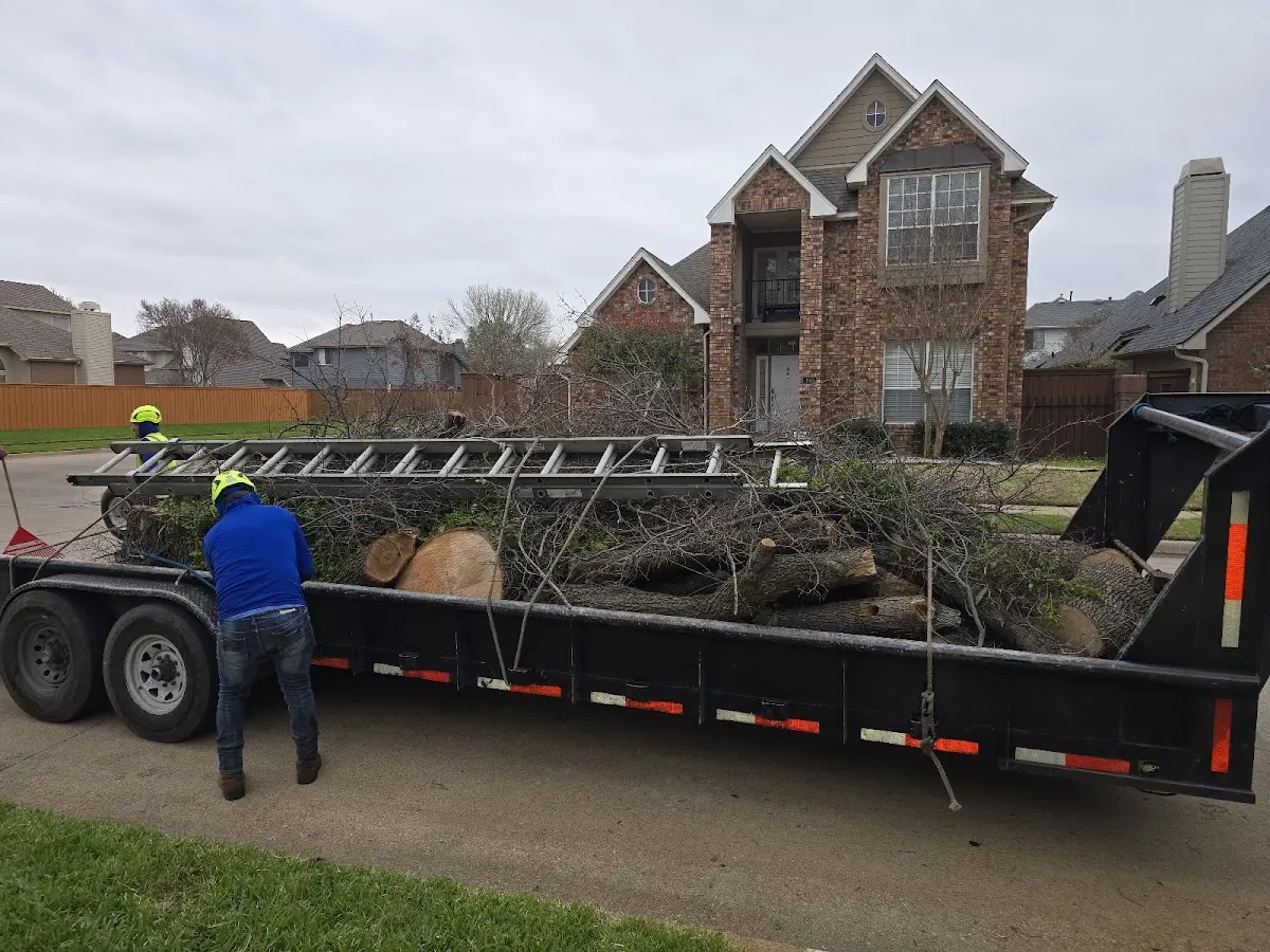 Expert Lot Clearing with proper safety equipment in Acton